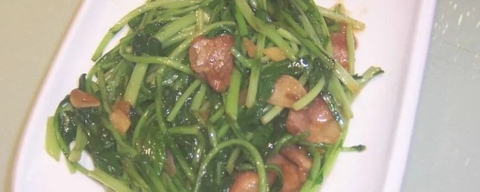 苔苔菜怎么吃,菜苔的吃法