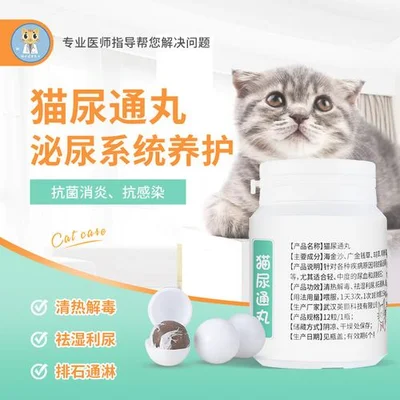 猫尿结石吃什么药好