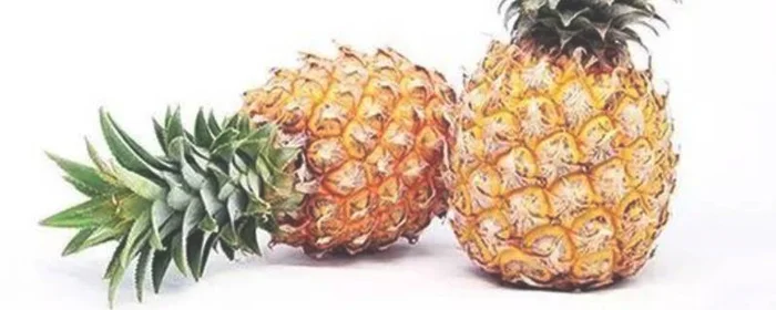 菠萝可以在糖水里泡多久