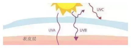 紫外线穿透力到底是强还是不强