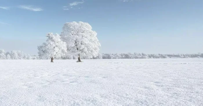 雪对什么