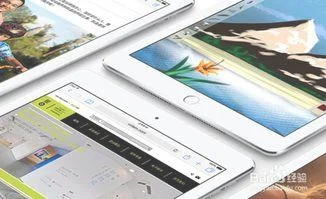 ipad清理垃圾软件(mini上安装老版微信读书变阅读器)