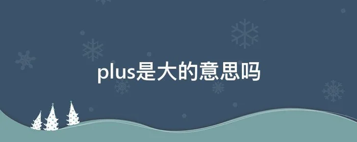 plus是大的意思吗