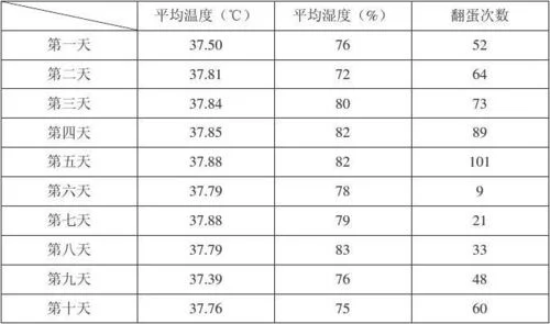 孵化鸡蛋的温度和湿度