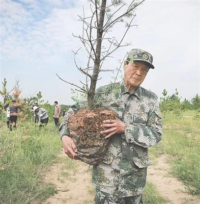 3、没有严格依照《中华人民共和国植物检疫条例》执行，致使我国沙棘树苗种植品种受到极大的影响与破坏。