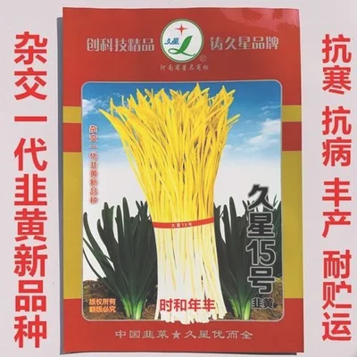 种植窗口期如何检查（千万不要忽略这3点~）