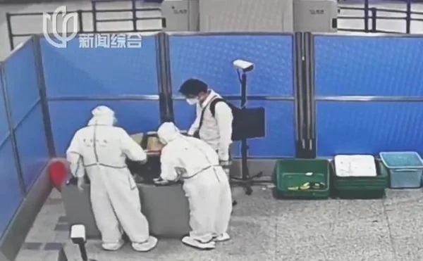 上海浦东机场托运行李中现7条活蛇(都有些什么物种)