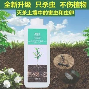 药材种植不烂根怎么办（死苗烂根如何预防）