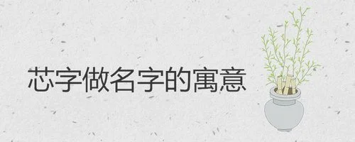 可芯名字的含义