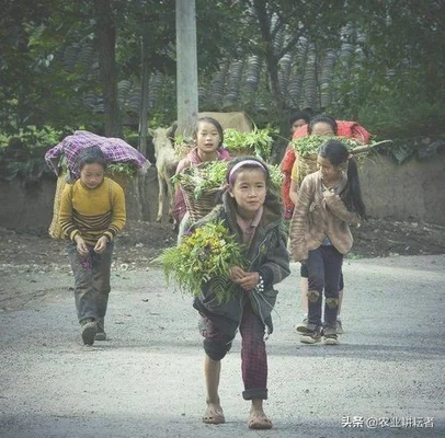为什么老一辈人养活一群孩子那么容易，现在养一个孩子都难(养一个孩子多不容易)