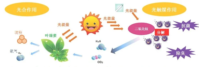 光触媒除甲醛有用吗(但是光触媒除甲醛真