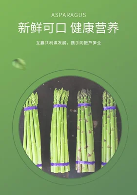 芦笋的药用功效与作用