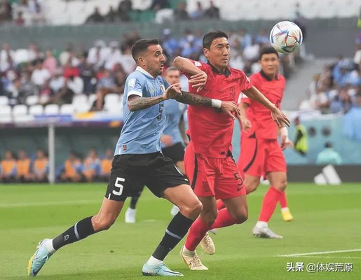 韩国主帅领到首张主教练黄牌