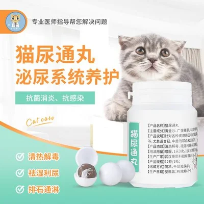 猫尿道发炎吃什么药呢,猫尿道发炎怎么治