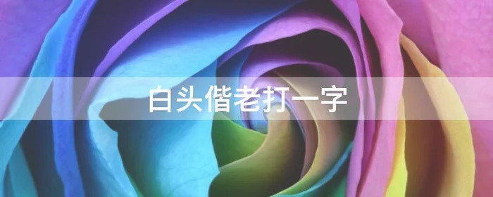 白头偕老打一字