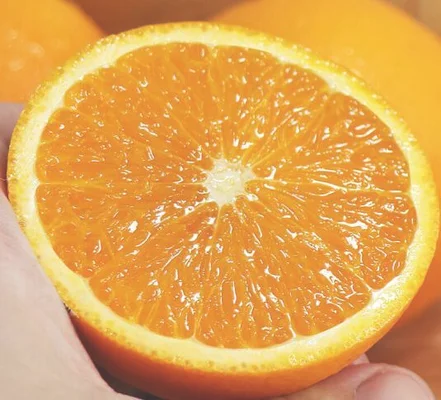 中国十大名橙排名第一的橙子,皮薄肉嫩汁