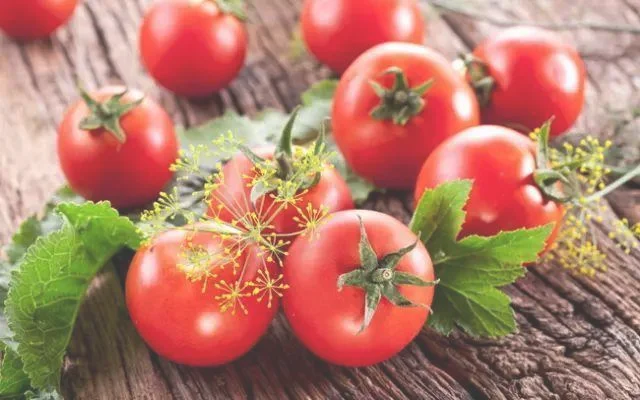 西红柿有什么作用和功效