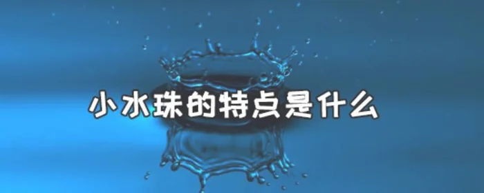 小水珠的特点是什么,小水珠什么什么