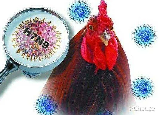 H7N9诊疗方案_百科_装修