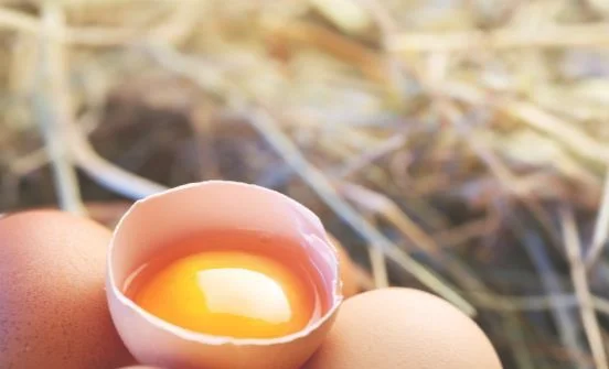 每天吃鸡蛋有什么好处？专家告诉你!