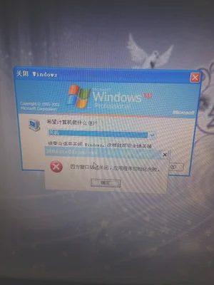电脑怎么设置默认软件(应用程序正常初始化失败怎么办)