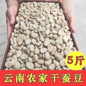 蚕豆价格最新行情,蚕豆多少钱一公斤？