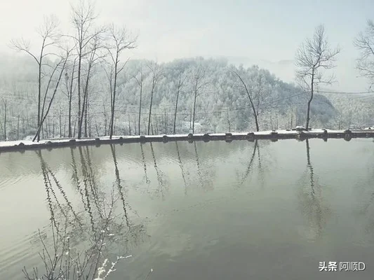 为什么近几年好多西宁人在四川买房(外地