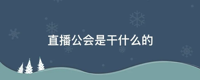 直播公会是干什么的