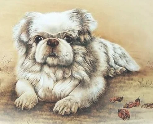 生肖狗一生最旺谁