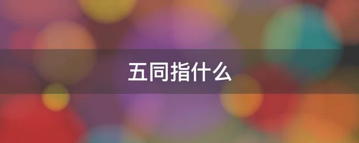 五同指什么