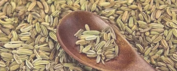 小茴香籽怎么泡水