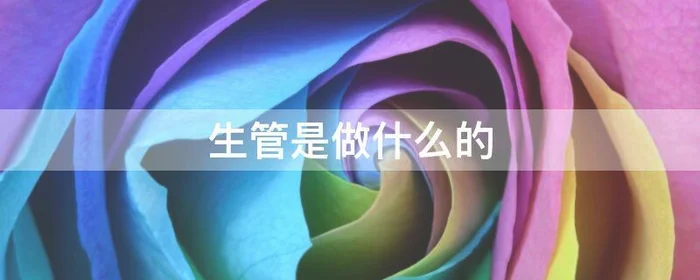 生管是做什么的,电子厂生管是做什么的