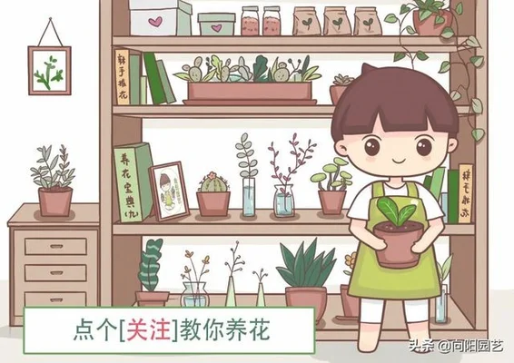 适合养在客厅的大型绿植(适合养在客厅的大型植物)