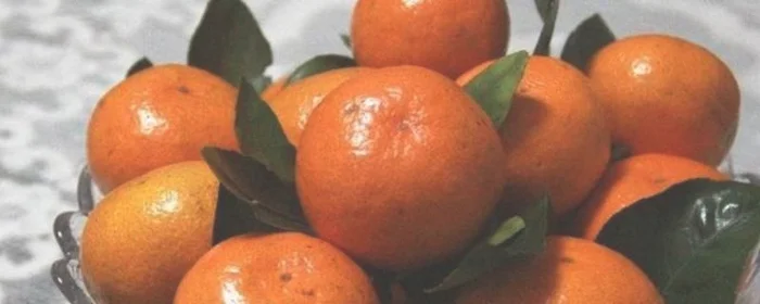 橘子怎么保存