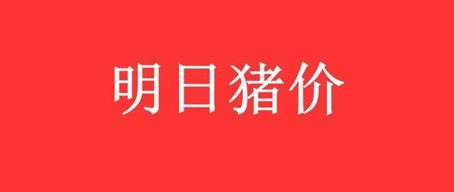 明日猪价涨跌早知道：明日猪市或将迎来“两连降”!