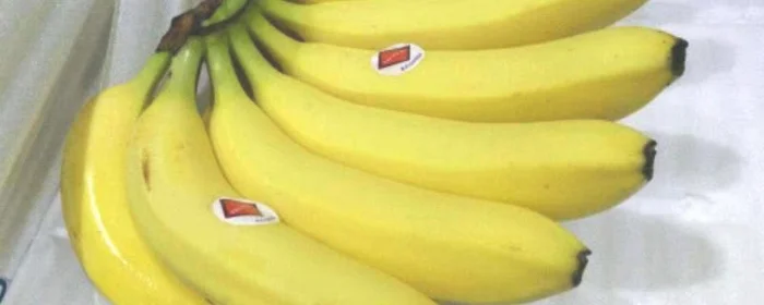 为什么香蕉放烂了都没熟