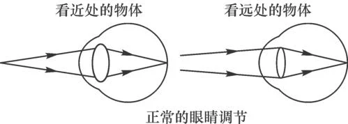 人眼能够远近调节物体,主要靠晶状体屈光力,睫状肌也有一定作用