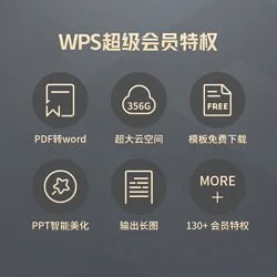 wps会员和超级会员的区别