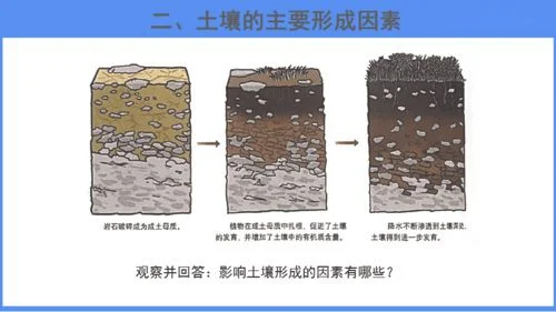 1、土壤选择