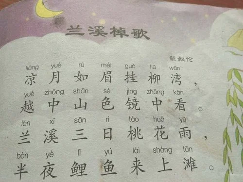 棹怎么读