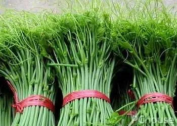 龙须菜的功效与作用_百科_生活