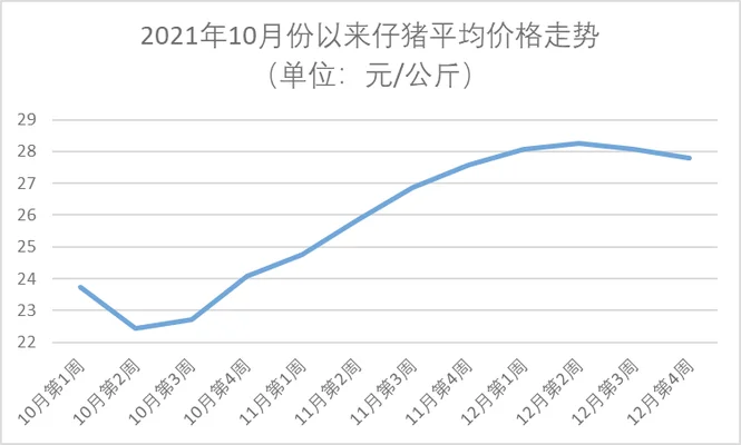 明年仔猪价格还会涨吗？养猪朋友：能涨到多少