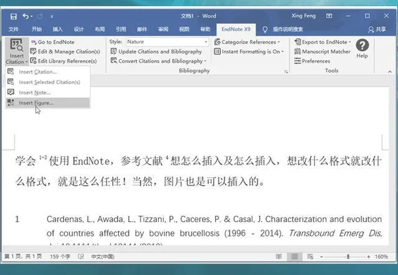 endnote 导入文献到 wo rd,endnote如何导