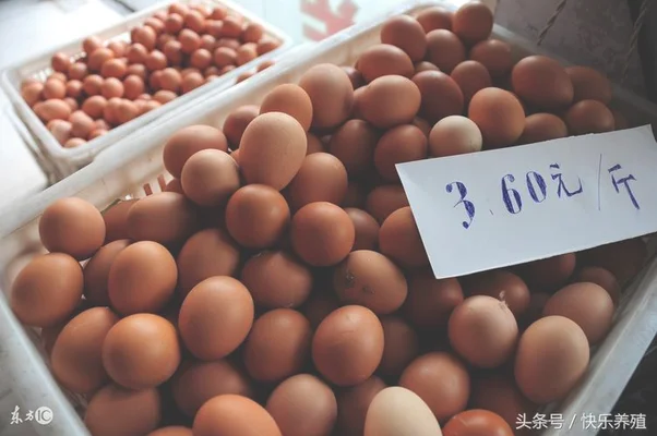 现在鸡蛋市场价多少钱一斤？听听老农怎么说,后悔没早知道
