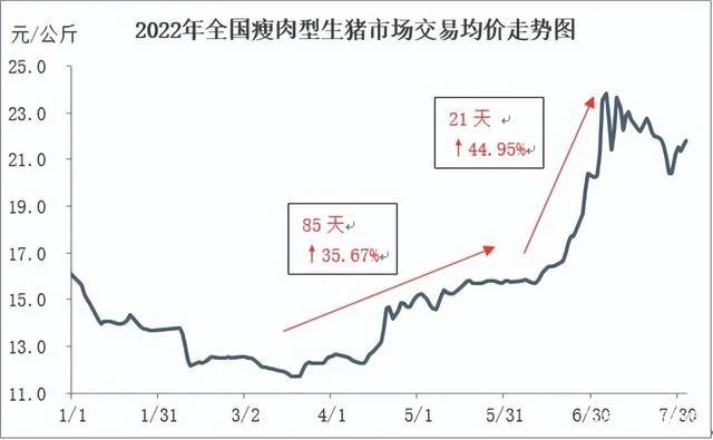 生猪价格排行榜：非洲猪瘟影响下,猪肉价格