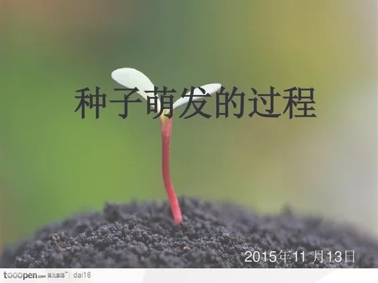 大鹏如何种植黄瓜和丝瓜（后期优产高产有保