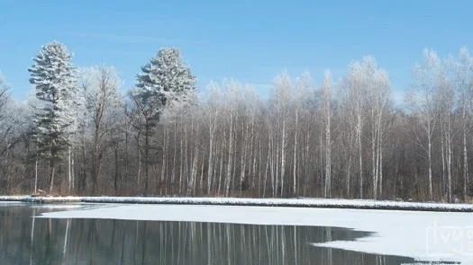 冬天去南方哪里旅游比较好？冬天去南方的旅游景点有哪些？