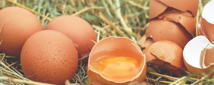 怎样看鸡蛋是否受过精,怎么看出鸡蛋有没