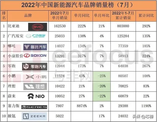 2022年新能源汽车销量排行榜,第一名你猜