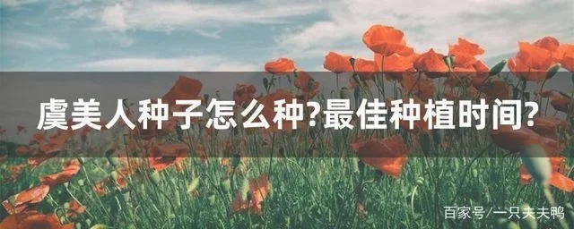 三、定植时间